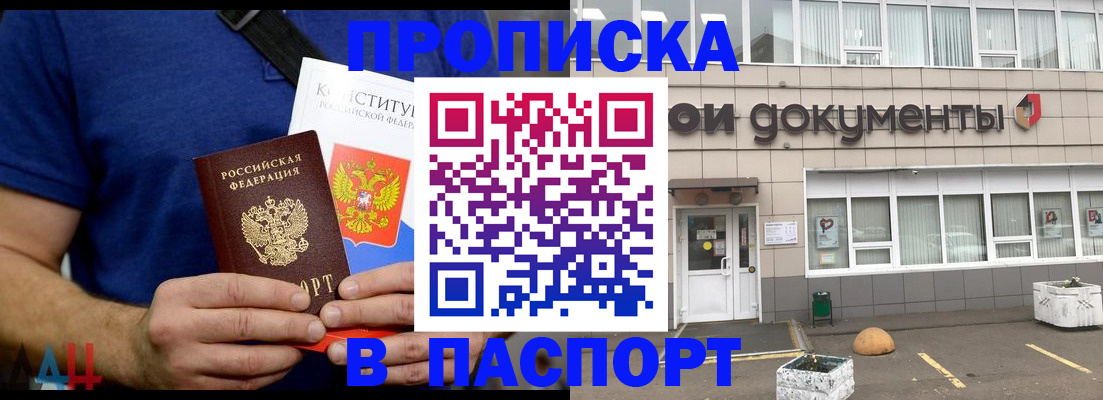 прописка паспорт в Шебекино